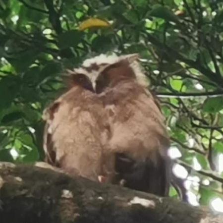 Hotel Terrazas Del Golfo La Palma Zewnętrze zdjęcie