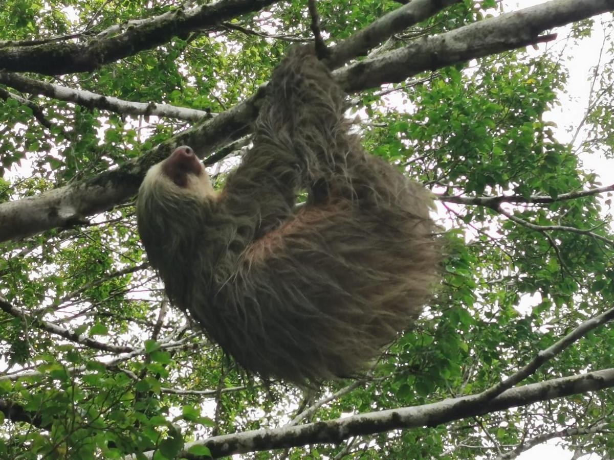 Hotel Terrazas Del Golfo La Palma Zewnętrze zdjęcie