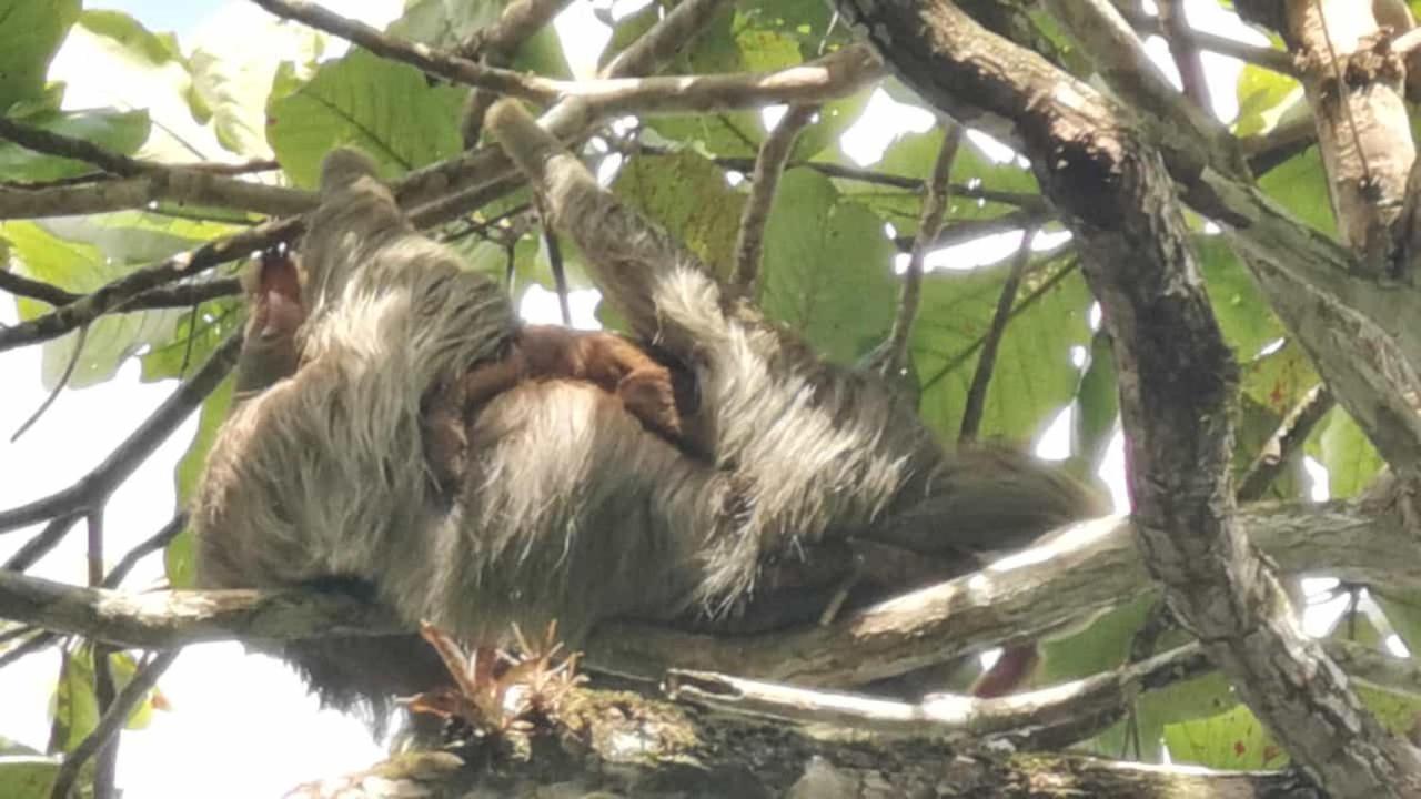 Hotel Terrazas Del Golfo La Palma Zewnętrze zdjęcie